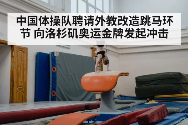 中国体操队聘请外教改造跳马环节 向洛杉矶奥运金牌发起冲击